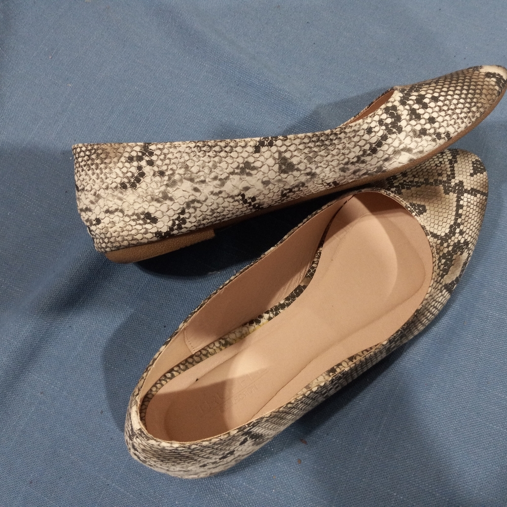 Truffle Collection flats - Picture 4 of 4